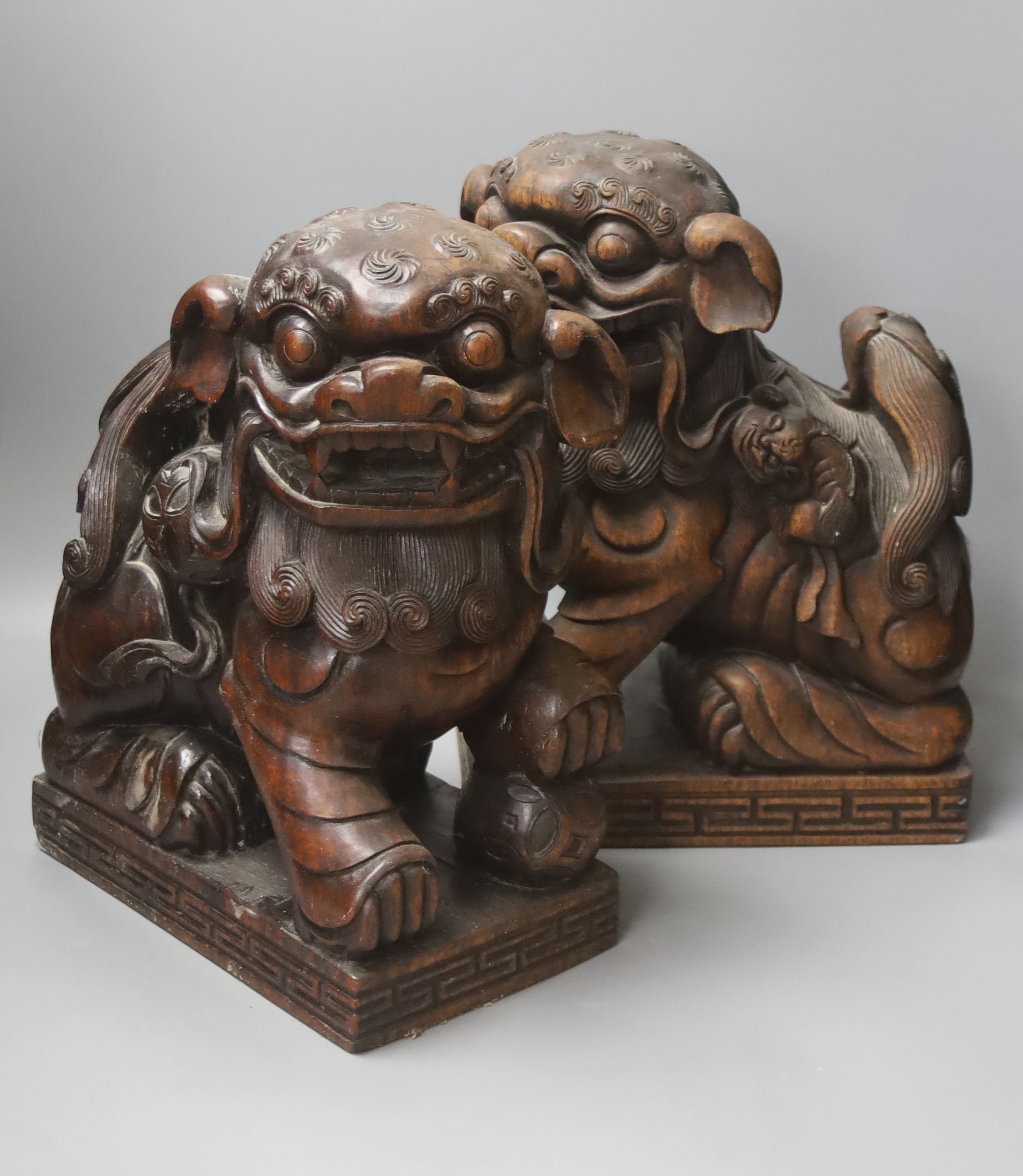 A pair of Chinese carved hardwood Buddhist lions, width 26cm height 37cm